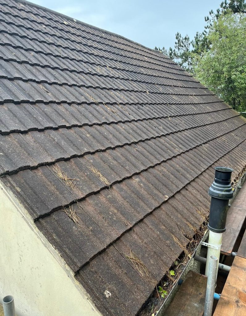 Damaged Roof