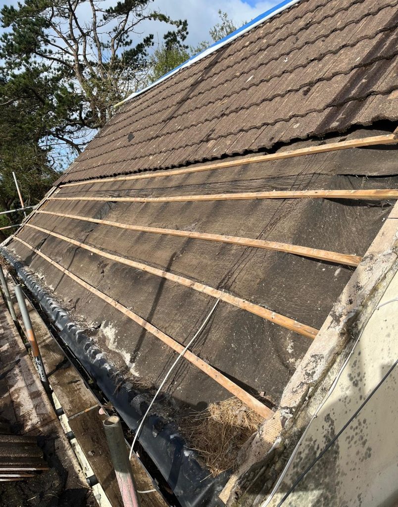 Old Roof