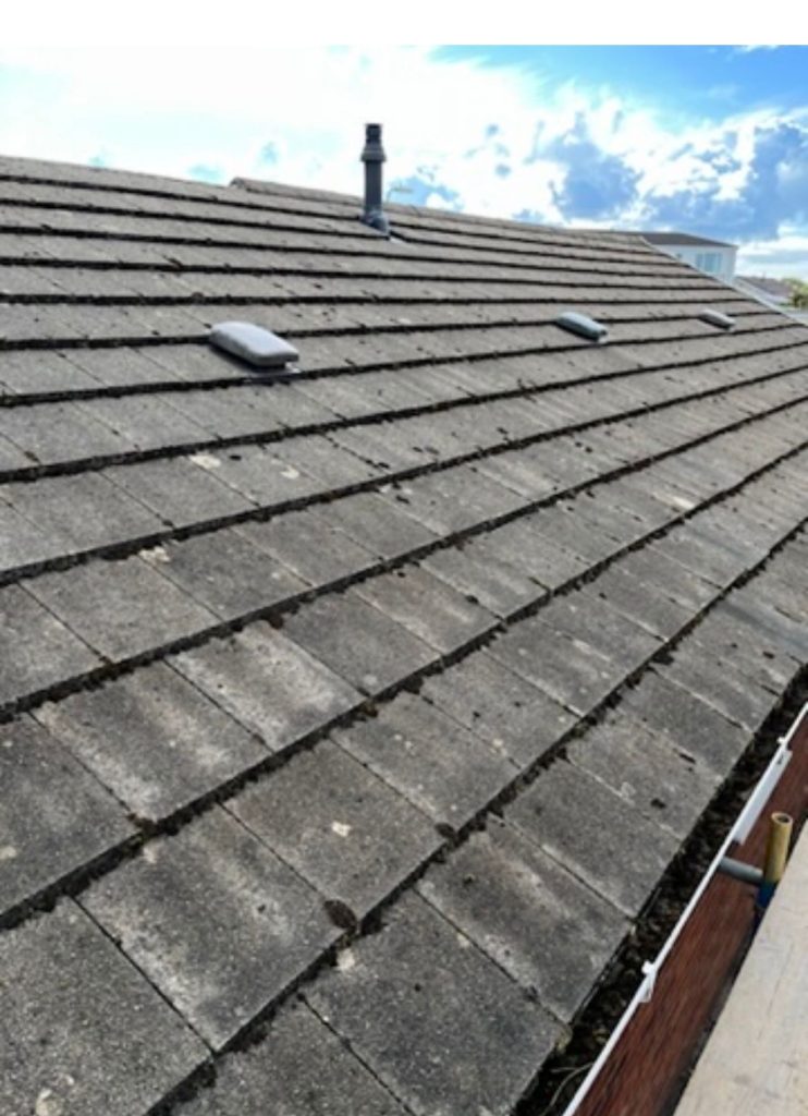 New Roof
