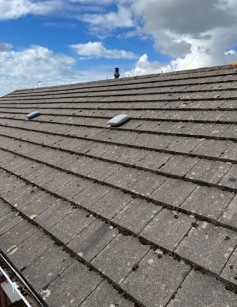 Old Roof