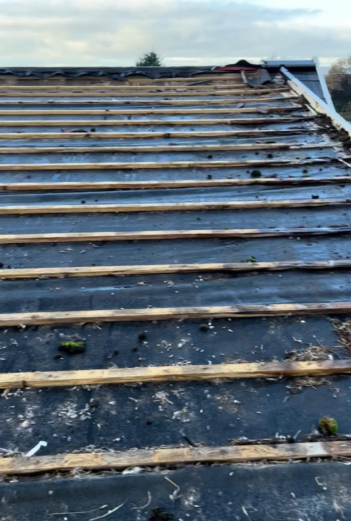 Roof Repairs